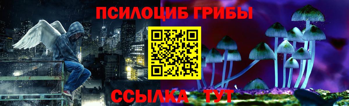 купить   Вход с VPN  Верхняя Пышма  Галлюциногенные грибы Cubensis  Галлюциногенные грибы Cubensis 